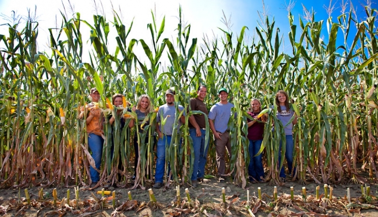 AGRICULTURE AGRICULTURE
