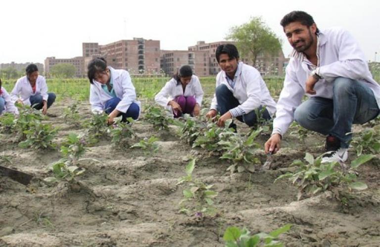 AGRICULTURE